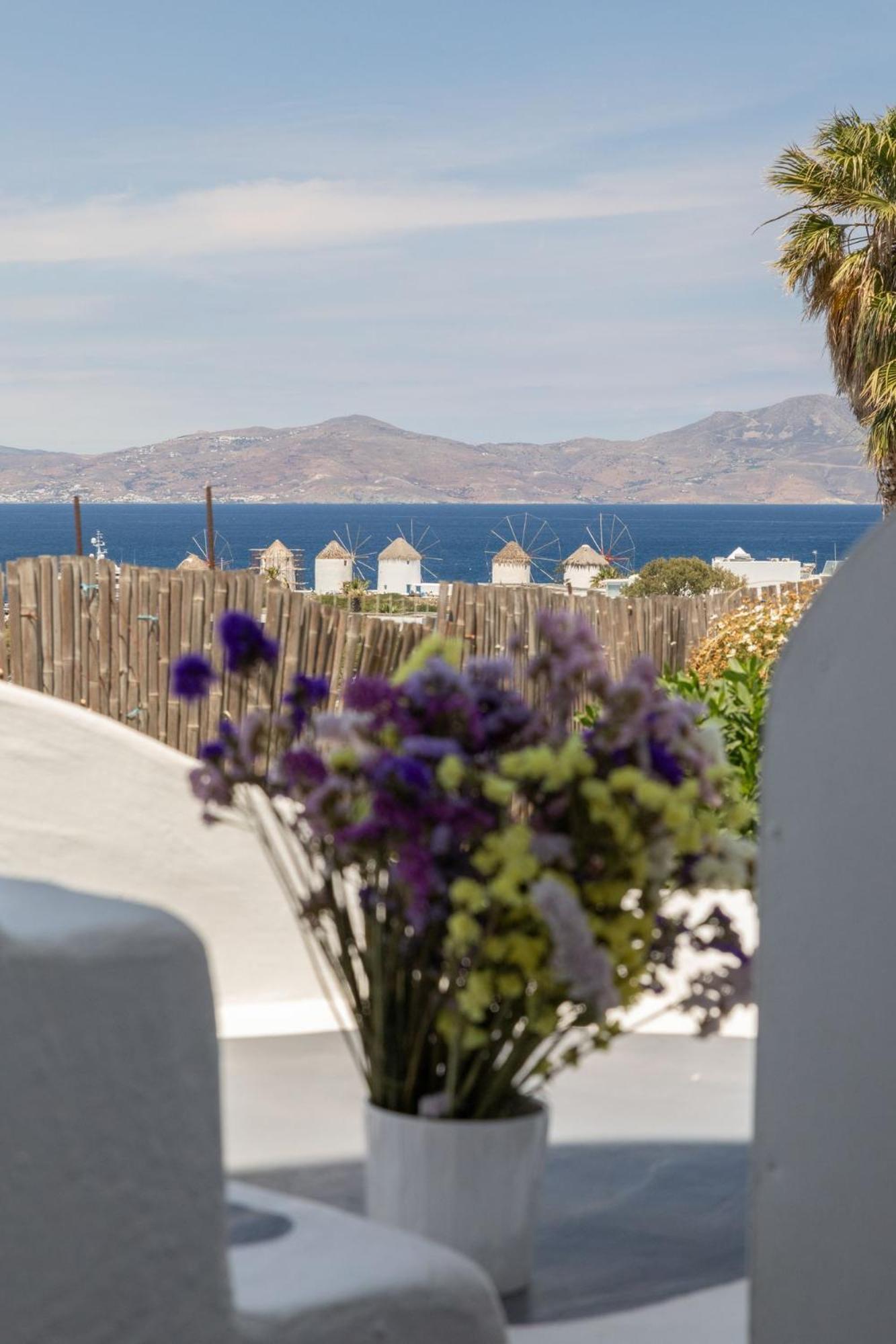 Апарт отель Dimele Mykonos Town Экстерьер фото